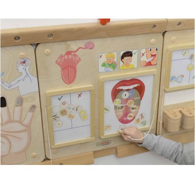 Bộ làm quen STEM lĩnh vực khoa học trải nghiệm năm giác quan sờ, thấy, thính giác, vị giác, khứu giác; kèm bộ giáo án hoạt động trải nghiệm thực hành và video hướng dẫn.